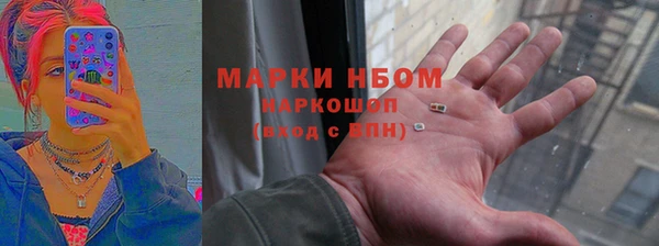 гашик Новозыбков
