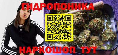 каннабис Гусев