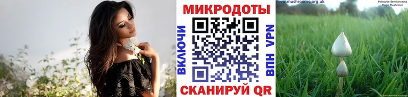Галлюциногенные грибы мицелий  Кинель 