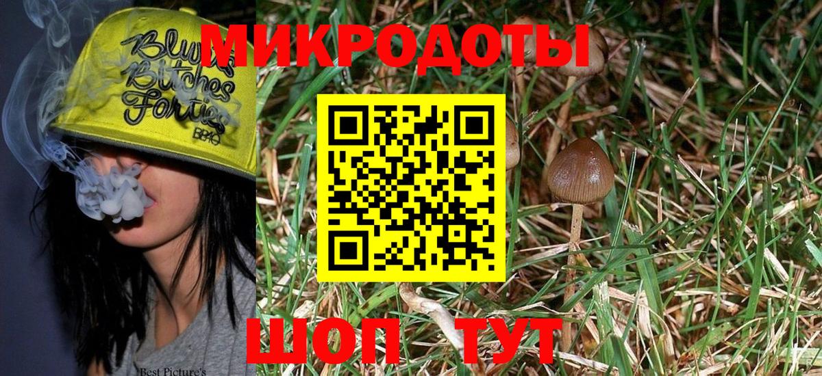 Кинель  Псилоцибиновые грибы Psilocybe  Вход с VPN 
